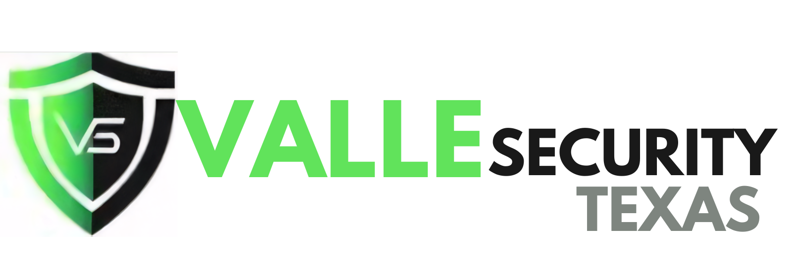 VALLE Security Texas logo VALLE Security Texas logo