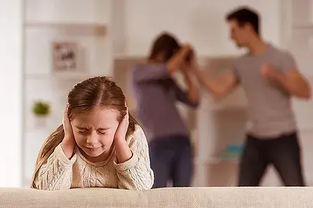 Domestic Violence Protection Services